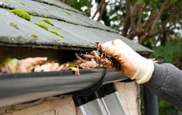 gutter cleaning Lower Blunsdon, Wiltshire