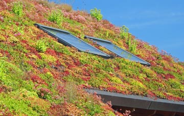 Lower Blunsdon living roof systems