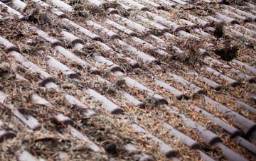 Lower Blunsdon roof cleaning companies